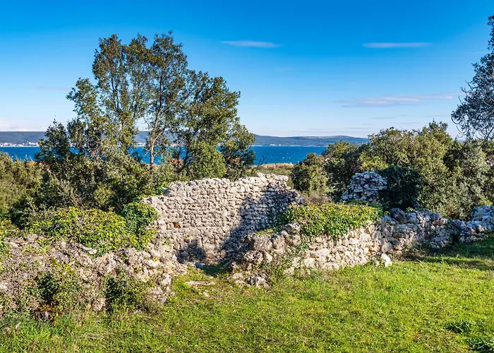 Amazing In * Neviđane